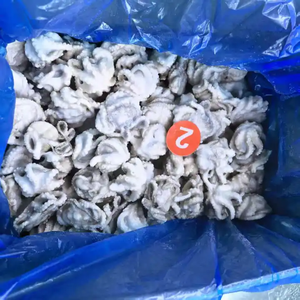 <span class=keywords><strong>Pulpo</strong></span> Bebé <span class=keywords><strong>Congelado</strong></span> Premium, <span class=keywords><strong>Entero</strong></span> y Eviscerado, IQF, Mariscos - Product Image 1