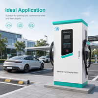 Cargador Rápido de CC de 60KW con Doble Conector y OCPP 1.6 para Flotas Comerciales y Estaciones de Carga de Vehículos Eléctricos - Proveedor IP54
