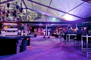 Carpa <span class=keywords><strong>Transparente</strong></span> de 20*25m para Ceremonia de Boda, Estructura de Aluminio con Paredes Cristalinas que Crean una Atmósfera Romántica y Privada - Product Image 4