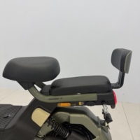 Moped électrique abordable de 450 W, batterie 48 V 20 Ah, autonomie de 50 km, pneus de 14 pouces, scooter électrique pour trajets urbains avec panier et phare LED