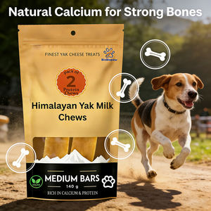 OEM/ODM Snack al Latte di <span class=keywords><strong>Yak</strong></span> dell'Himalaya ad Alto Contenuto Proteico, Gusto Manzo, Cibo Saporito per Cani, per Ossa Forti e Salute Dentale - Product Image 4