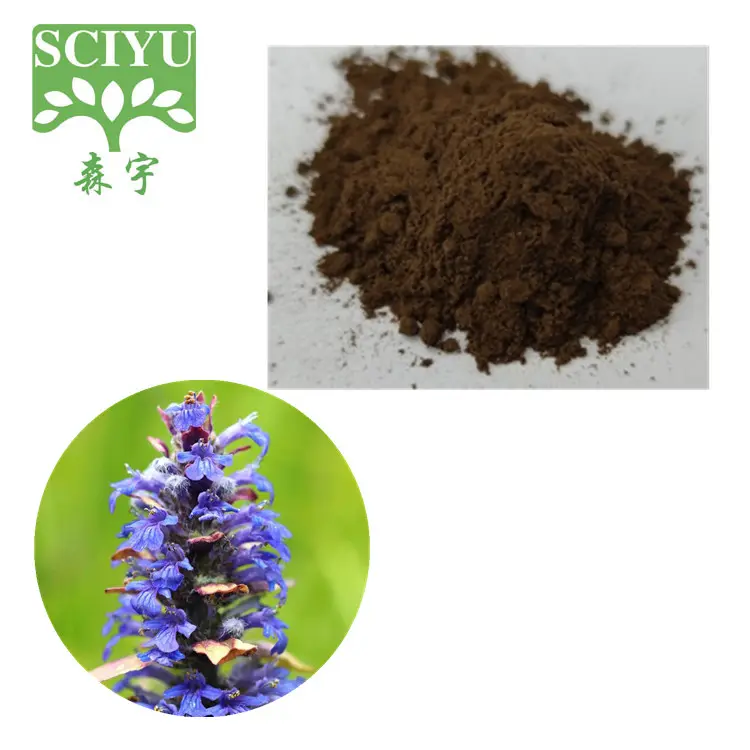 Sciyu Supply Ajuga Turkestanica extract turkestone 2%