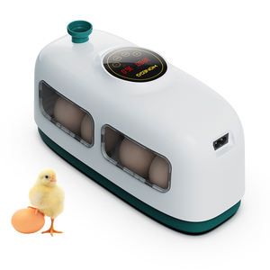 Incubateur de poussins 8Egg de dernière technologie avec batterie à ceinture pièces de rechange du Bangladesh à vendre <span class=keywords><strong>Amazon</strong></span> à faible coût - Product Image 6