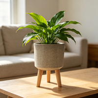 Pot Bunga Plastik HD dengan Tatakan Kayu, untuk Taman & Rumah, Dapat Dipindahkan, Modern, Mewah, Ramah Lingkungan, Finishing Brushed, untuk Dalam Ruangan