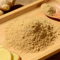 Poudre d'extrait de gingembre naturel - Riche en gingembreol, anti-inflammatoire et soutien digestif pour les formules de bien-être