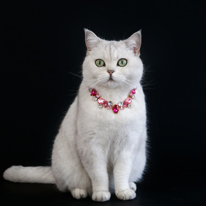 New Design Pet Jewelry Sparkling Crystal Gemstone Necklace | Adjustable Fashion Accessory for Cats and <b>Dogs</b> - Product Image 1