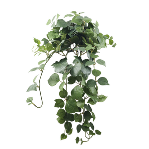Plantas colgantes artificiales Pequeñas plantas artificiales en maceta flores decorativas coronas y plantas - Product Image 2