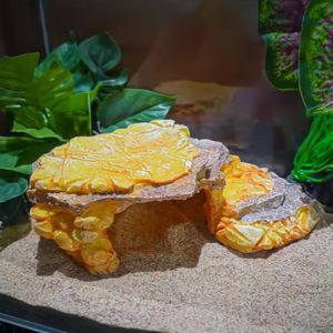 Accessoires pour reptiles Repaire de reptiles Cachette Grotte Tortue Basking Plate-forme Abri pour <span class=keywords><strong>L</strong></span>ézard Dragons Barbus - Product Image 5
