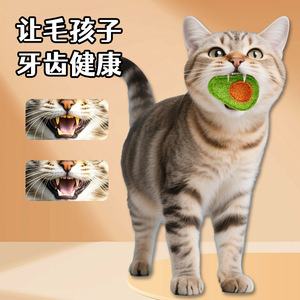 ชุดของเล่นสัตว์เลี้ยงฟองน้ำใยบวบ รูปทรงผลไม้ พร้อมแคทนิป สำหรับทำความสะอาดฟัน ของเล่นแมว - Product Image 3