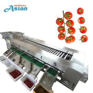 Kiraz domates boyut sınıflandırıcı sıralayıcı makine soğan tatlı patates derecelendirme makinesi bebek salatalık boyutu sıralama makinesi