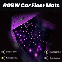 Juego de 4 Alfombrillas Universales Personalizadas para Auto, Modelo Starlights, Lavables, con Control Remoto por Aplicación, Material Ecológico