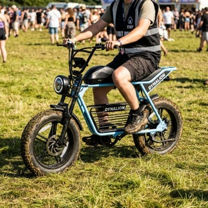 Hydraulische Bremsen Fat Boy E-Bike mit 16Ah Lithium-Akku, Festival-E-Fahrrad für Event-Personal - Product Image 6