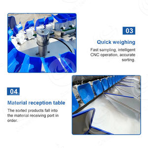 เครื่องคัดแยกไก่และกุ้ง orme เครื่องคัดแยกน้ำหนักเบาสำหรับปลาสด - Product Image 3