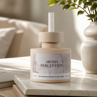 Nouveau design diffuseur de parfum Wabi Sabi en crème avec vase mat et bâtonnets en fibre – Coffret cadeau pour salon, élimination des odeurs