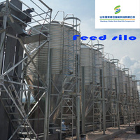 Silo verticale del grano di stoccaggio della risaia del riso 50 m3 da vendere