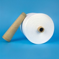 Hubei High Strength Xinao Factory Price Hot Sale 100% Polyester Yarn Raw White Ring Spun Paper Cone Yarn for Sewing Threads 40 2