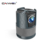 Projecteur de cinéma maison portable OEM 450 ANSI A3+ 4K, mini-projecteur, projecteur à écran partagé