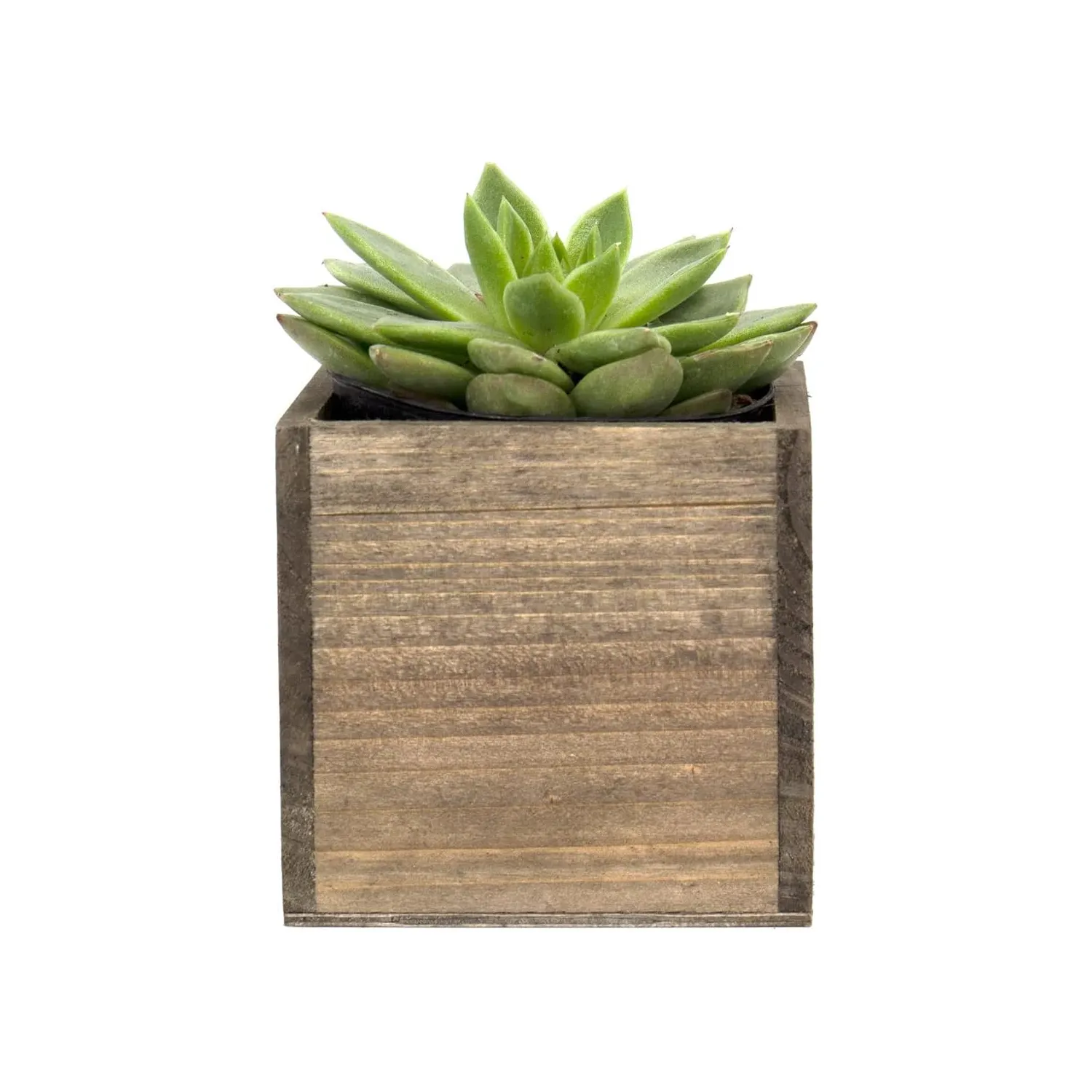 Cube Planter Box mit abnehmbarem Kunststoff Liner Multiple Size Choices Wood Square Planter