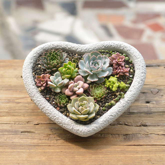 Wholesale Creative Large Heart-Shaped Succulent Planter Pot with Drainage  Hole - Modern Ceramic Cactus Flower Pot for Home & Garden