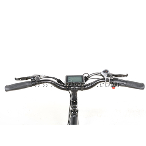 Sobowo Pin Kép Tầm Xa Điện Cargo Bike/Xe Đạp - Product Image 3