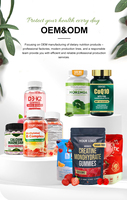 Gummies de créatine ODM/OEM 5000mg pour le soutien énergétique des adultes, complément nutritionnel sportif