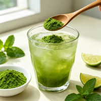 Poudre de menthe directement de l'usine, 100% naturelle, poudre de feuilles de menthe poivrée séchées pour la transformation alimentaire