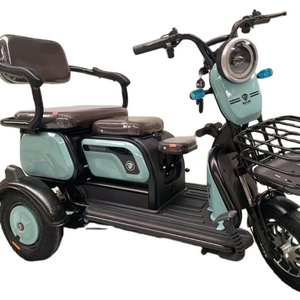 China Cheap Adult Electric Tricycle 3 Wheeler Electric Vehicle Tricycle for <b>2</b> People - Product Image 1
