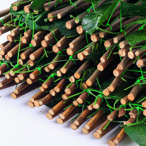 Feuillage Artificiel Xinlei pour Clôture Extérieure, Décoration de Jardin en Bois, Enceinte Végétale Rétractable 100cm-200cm, Gazon Artificiel Permanent - Product Image 1