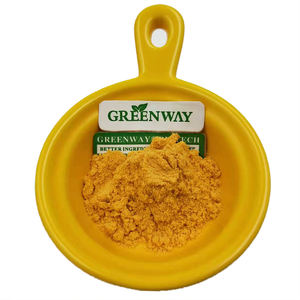 Fornitura di Fabbrica di Estratto di Sophora Japonica 95% 98% Polvere di Quercetina per Prodotti per la Salute - Product Image 5