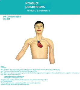 Modelo de entrenamiento <span class=keywords><strong>PICC</strong></span>, maniquí de simulación de punción venosa periférica central de PVC para práctica de enseñanza de ciencias médicas en las escuelas - Product Image 2