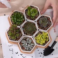 Pot de fleurs en céramique combiné à un support hexagonal en bambou pour plantes en pot