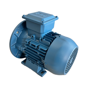 Moteur asynchrone triphasé antidéflagrant haute efficacité WEG W21 8P-480 KW-550V-50HZ Basse Tension CA à cage d'écureuil W21 Weg W21 - Product Image 4