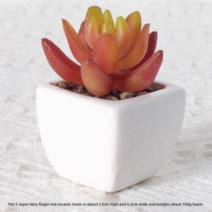 กระถางปลูกไม้อวบ<span class=keywords><strong>น</strong></span>้ำประดิษฐ์ทำ<span class=keywords><strong>จ</strong></span>ากเซรามิกสีเขียวกระถางตกแต่งโต๊ะสไตล์<span class=keywords><strong>น</strong></span>อร์ดิกหลากสี - Product Image 6