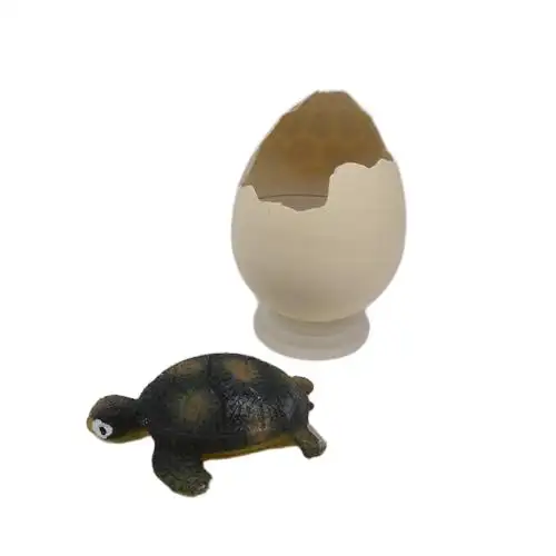 Kreative Erziehung Schildkröte Brüteneier wächst im Wasser Spielzeug Wasser wächst Haustier Eierspielzeug für Kinder