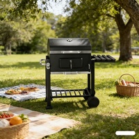 Barbecue au charbon de bois d'extérieur, couverture de table pour barbecue, ensemble de barbecue Santa Maria, barbecue en acier inoxydable, chauffe rapidement, fumeur