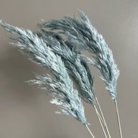 Herbe de la Pampa séchée, mini roseaux naturels teintés, fleurs séchées pour la décoration bohème de la maison
