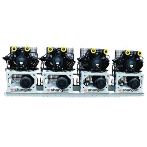 Shang Air 09wm Bibo Portable 83sh 34sh Compresseur à piston sans huile haute performance 30 bars 1,0-2,0 m³/min Économe en énergie pour le soufflage de bouteilles PET - Product Image 4