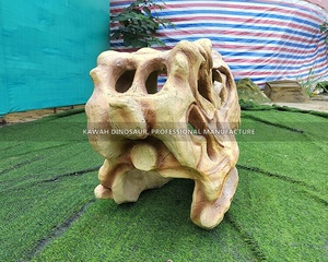 <span class=keywords><strong>Comprar</strong></span> Realista Dinosaurio Fósil Cabeza T-Rex Esqueleto Calavera Réplica PARA LA Decoración del Parque - Product Image 3