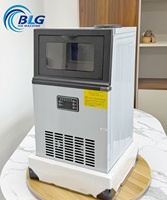 Machine à glaçons en cubes 40 kg par jour en acier inoxydable, machine à glaçons commerciale, source de glace fiable pour hôtel, buffet, restauration, café