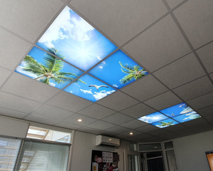 Luce LED diretta di fabbrica 600*600 603*603 595x595 luce quadrata del cielo del pannello del <span class=keywords><strong>soffitto</strong></span> nuvola lucernario per 2x2 piedi spazio - Product Image 4