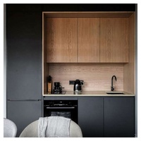 Lemari Dapur Modern Foshan Akrilik Modular Warna Kayu Walnut Amerika dengan Lampu LED, Lemari Dapur PVC Matt Abu-abu Hitam Lacquer