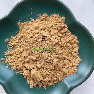 Proveedor de calidad Landnutra 100% extracto de hoja de <span class=keywords><strong>Aloe</strong></span> <span class=keywords><strong>Vera</strong></span> Barbadensis Miller en polvo - Product Image 4