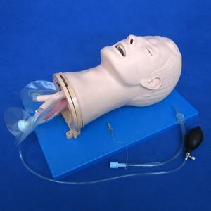 Multi-functional Airway Management รุ่น Intubation และดูดจำลองการฝึกอบรม - Product Image 1