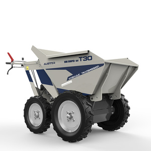 <span class=keywords><strong>Brouette</strong></span> à <span class=keywords><strong>moteur</strong></span> <span class=keywords><strong>essence</strong></span> 5,5 ch, transmission intégrale, robuste, 300 kg, pour chantier - Product Image 3