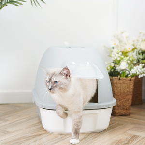 Grande litière pour chat entièrement fermée et portable <span class=keywords><strong>avec</strong></span> fonction de nettoyage facile, pelle <span class=keywords><strong>à</strong></span> litière intégrée, en <span class=keywords><strong>plastique</strong></span> et <span class=keywords><strong>avec</strong></span> <span class=keywords><strong>couvercle</strong></span> - Product Image 6