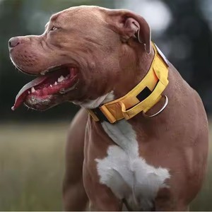 Vente en gros de coussinet en nylon robuste avec logo personnalisé Ensemble de sangles et de colliers tactiques pour chien avec boucle en métal - Product Image 6