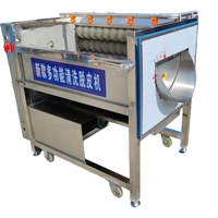 Anxu Commerciële Kurkuma Gember Cassave Aardappel Fruit Schillen Wasmachine Plc Pomp Motor Motor Hoge Efficiëntie