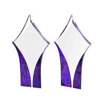 Support de présentation de trophée en acrylique personnalisé APEX pour la vente au détail de trophées, support transparent avec un design élégant pour les récompenses