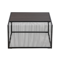 Table basse moderne en acier inoxydable, pièces détachées pour échantillons, incrustation de feuilles, pieds courtes, marbre, république française, Table basse