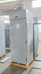Frigorifero Pass-Through con Ripiani Rimovibili, Lascia i Cibi a Temperatura Ambiente, Frigorifero Industriale Verticale Roll-Through - Product Image 3